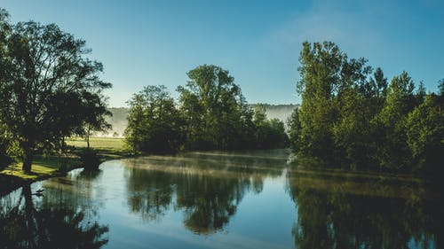绿树 · 免费素材图片