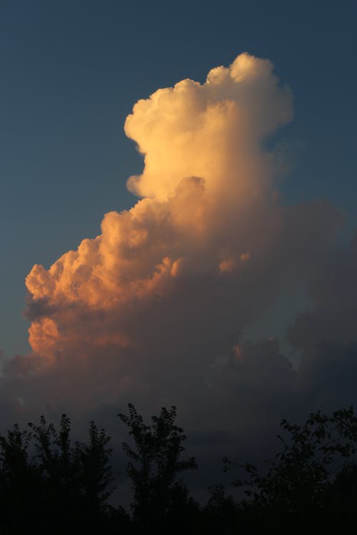 有关以上, 光, 冷静的免费素材图片