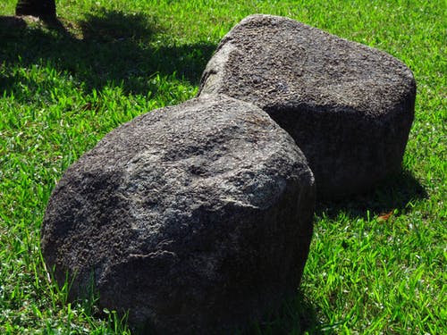 在绿色草地上的两个灰色石头碎片 · 免费素材图片