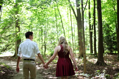 女人和男人在森林里散步时手牵着手 · 免费素材图片