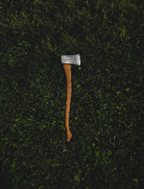 草地上的棕色和银色斧头 · 免费素材图片