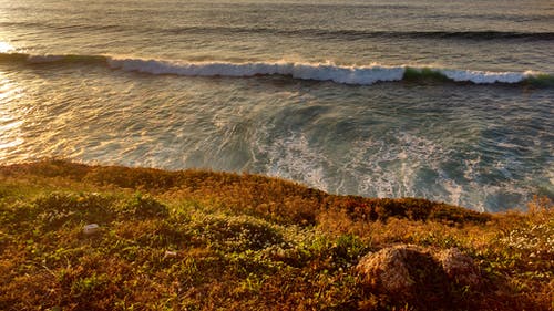 布朗沙滩 · 免费素材图片