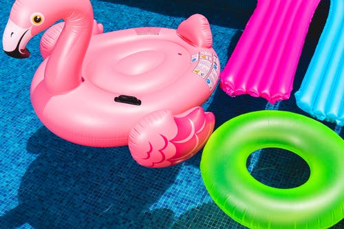 游泳池上的粉红色火烈鸟充气环和绿色充气环 · 免费素材图片