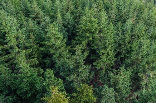 森林航空摄影 · 免费素材图片