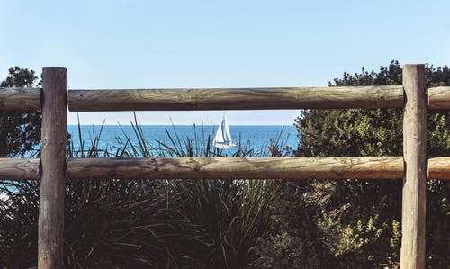 绿叶树附近的棕色木栅栏 · 免费素材图片