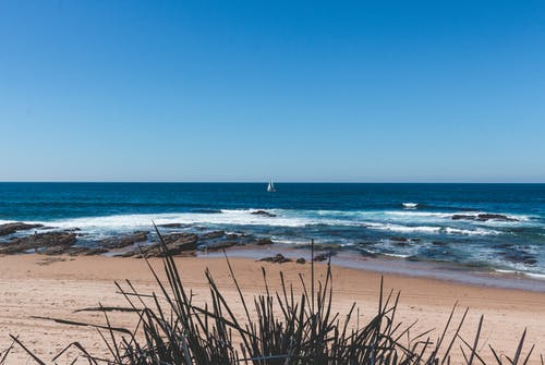 海上的白色帆船 · 免费素材图片