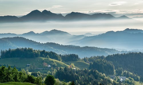 山区山谷与常绿森林对薄雾笼罩的天空 · 免费素材图片