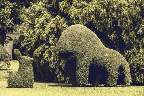 两种动物修剪的花园 · 免费素材图片