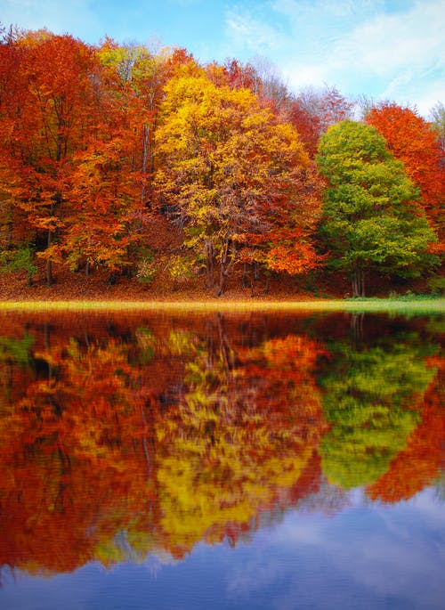 秋季高清壁纸 · 免费素材图片