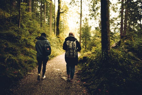 两人在森林里散步 · 免费素材图片