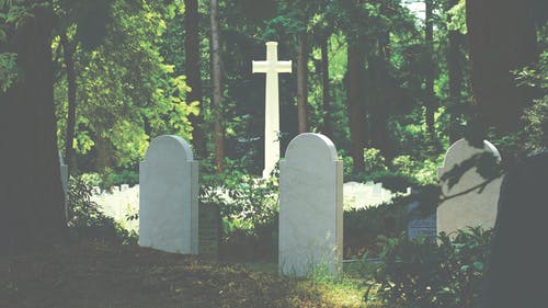 树木包围的十字架附近的白色墓碑 · 免费素材图片