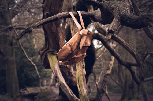 棕色背包挂在树枝上 · 免费素材图片