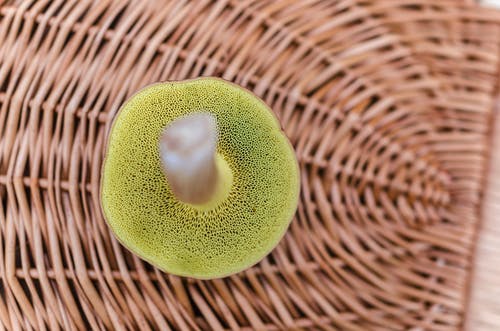 棕色柳条篮绿色蘑菇 · 免费素材图片