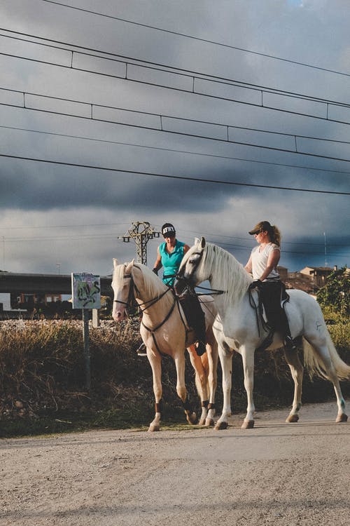 两个女人骑着马 · 免费素材图片