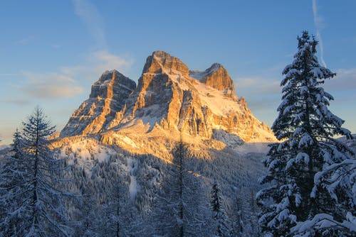 积雪覆盖的山与松树 · 免费素材图片