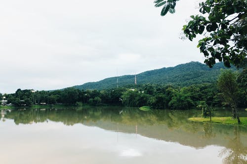 绿叶树包围的水体 · 免费素材图片