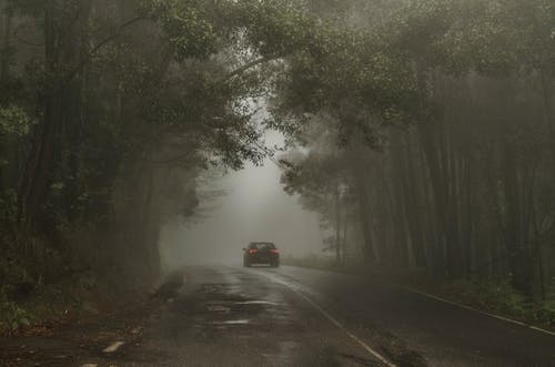 树木之间的道路上行驶的汽车 · 免费素材图片
