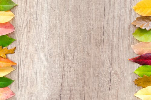 棕色的木桌的叶子 · 免费素材图片