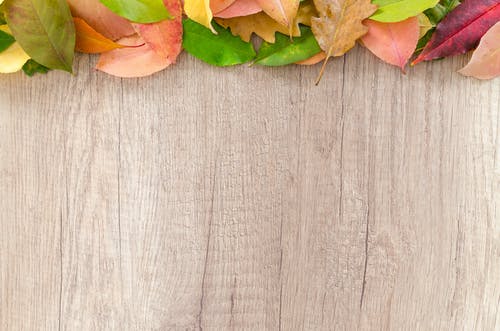 木制表面上的各色的叶子 · 免费素材图片