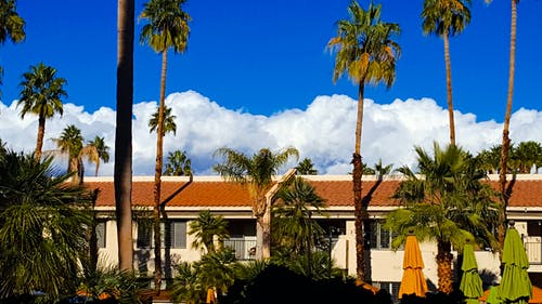 棕色和白色的混凝土房子 · 免费素材图片