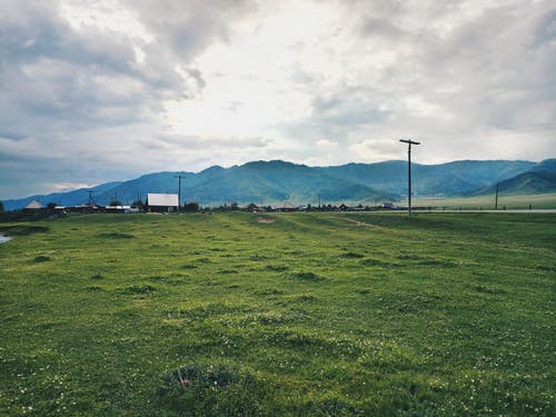 草地 · 免费素材图片