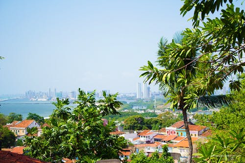 水体周围树木环绕的房屋摄影 · 免费素材图片