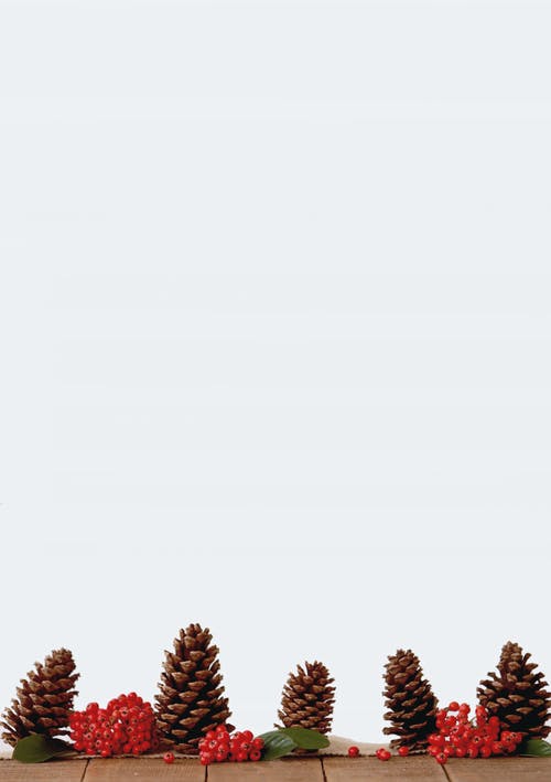 棕松果装饰 · 免费素材图片