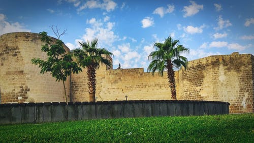 堡垒旁的棕榈树 · 免费素材图片