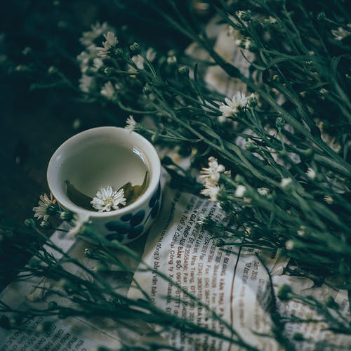 白色花瓣花旁边的白色陶瓷杯 · 免费素材图片