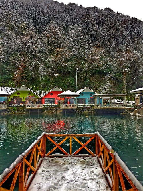 被植物包围的海边小屋的照片 · 免费素材图片