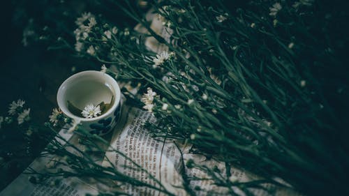 白花与植物附近的陶瓷茶杯 · 免费素材图片