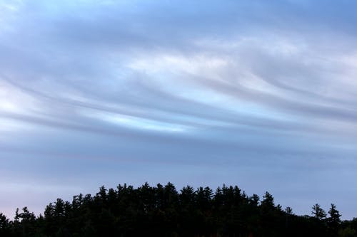 有关剪影, 和平的, 天性的免费素材图片