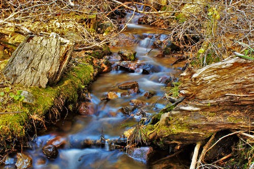 小溪上的水流 · 免费素材图片