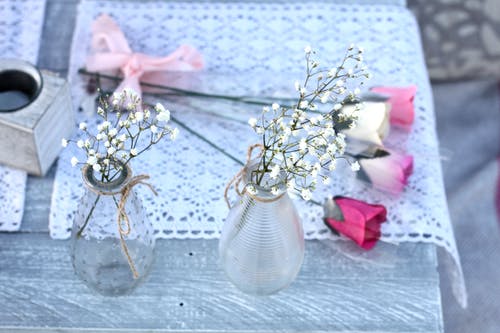 两个白色的花瓣花瓣与玻璃花瓶 · 免费素材图片