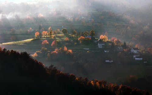 绿色山丘与树画上的房子 · 免费素材图片