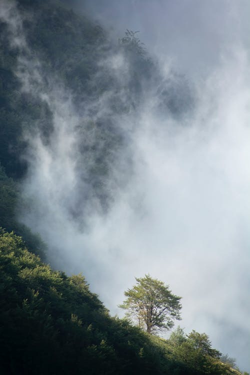 有雾的山腰 · 免费素材图片