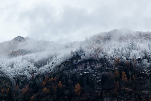 树木环绕的山与雪 · 免费素材图片