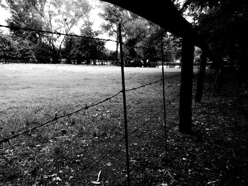 栅栏的剪影视图 · 免费素材图片