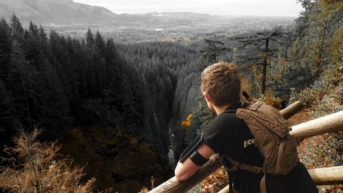 黑色衬衫和棕色背包，倚在棕色木扶手望着绿叶松树和小溪的男人 · 免费素材图片