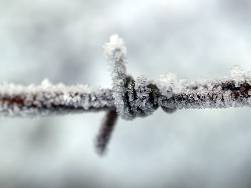 覆冰的金属丝的特写摄影 · 免费素材图片