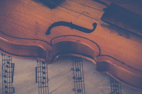 棕色小提琴 · 免费素材图片