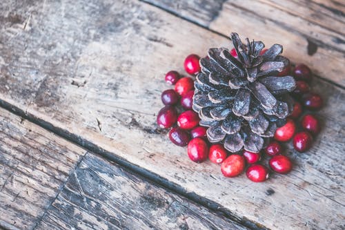 红蔓越莓摄影包围的棕松果 · 免费素材图片