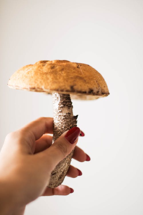 有关不露面, 健康, 匿名的免费素材图片