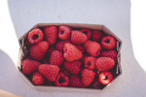 山莓 · 免费素材图片