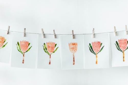 白皮书与橙花印刷品 · 免费素材图片