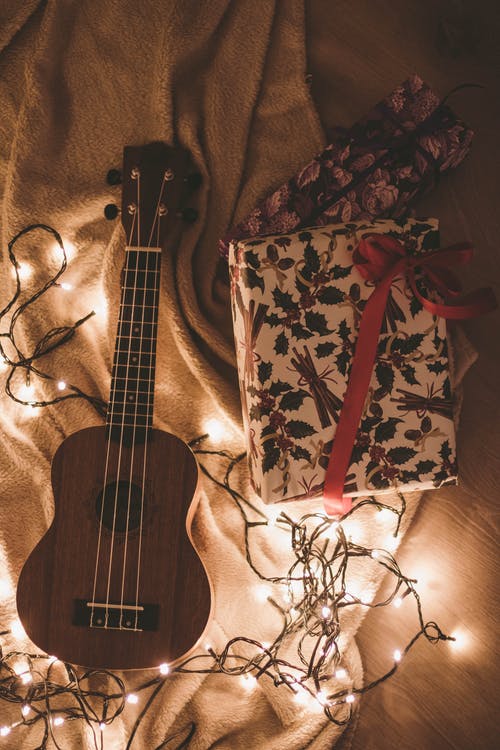 在花盒和灯串旁边的夏威夷四弦琴 · 免费素材图片