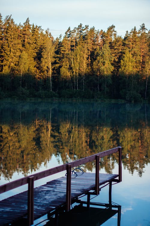 白天被绿树环绕的泻湖 · 免费素材图片