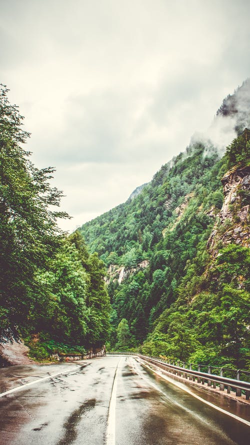 绿色的高大的树木和高山之间的混凝土路面 · 免费素材图片