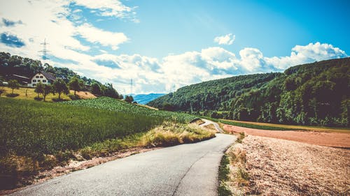 风景摄影中的绿色田野和道路 · 免费素材图片