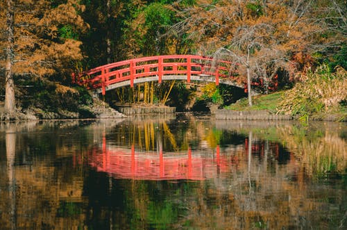 橙白桥 · 免费素材图片